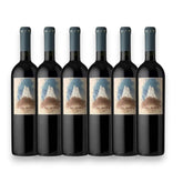 Kit 6 Tikal Amorío Malbec 2022