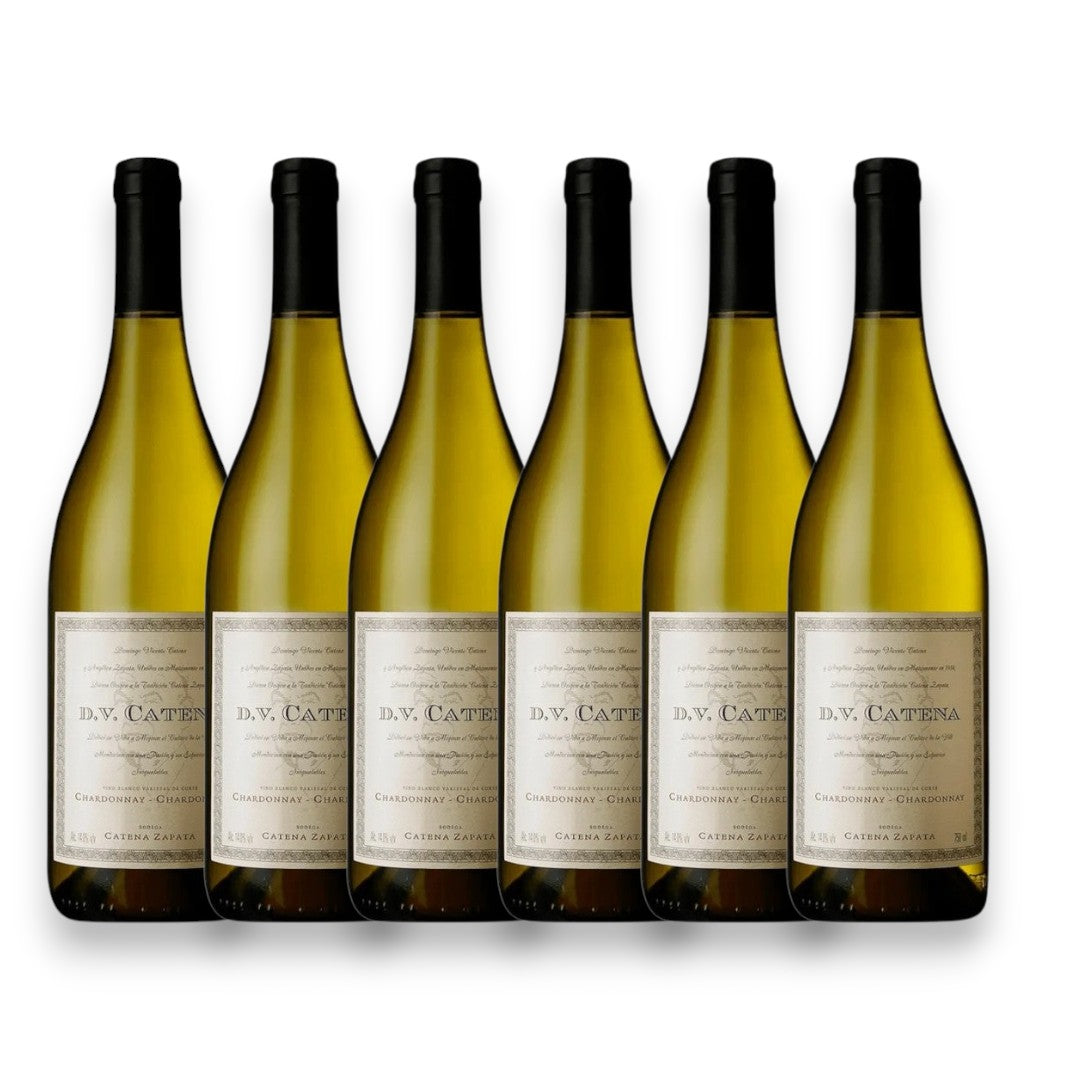 Kit 6 DV Catena Chardonnay 2022
